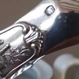 Solid silver sugar clamp lion's claws