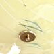 Pale yellow asymmetrical suspension cup 1960