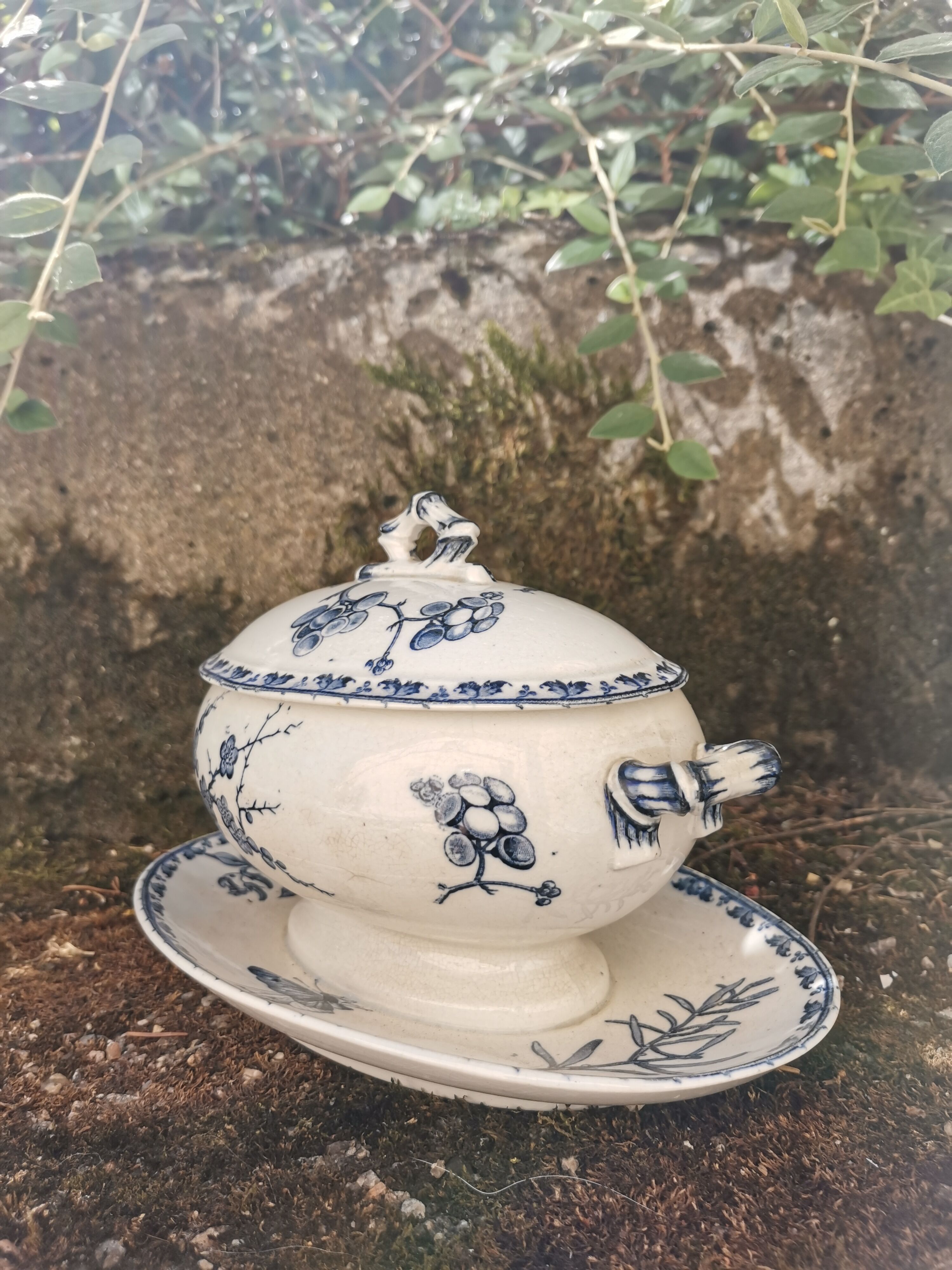 Saucière Sarreguemines Carmen