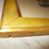 Bird frame