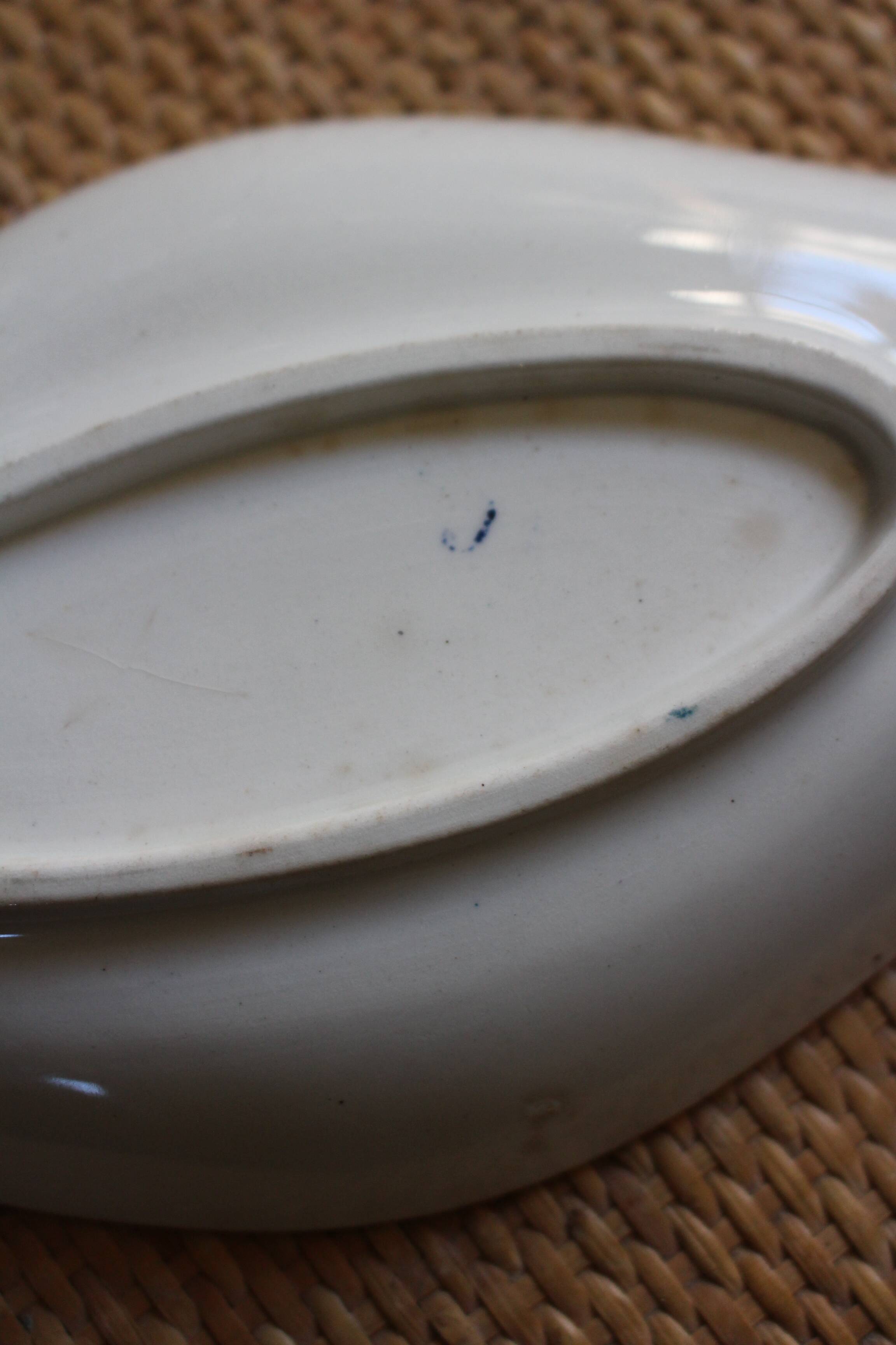 Blue iron earth dish