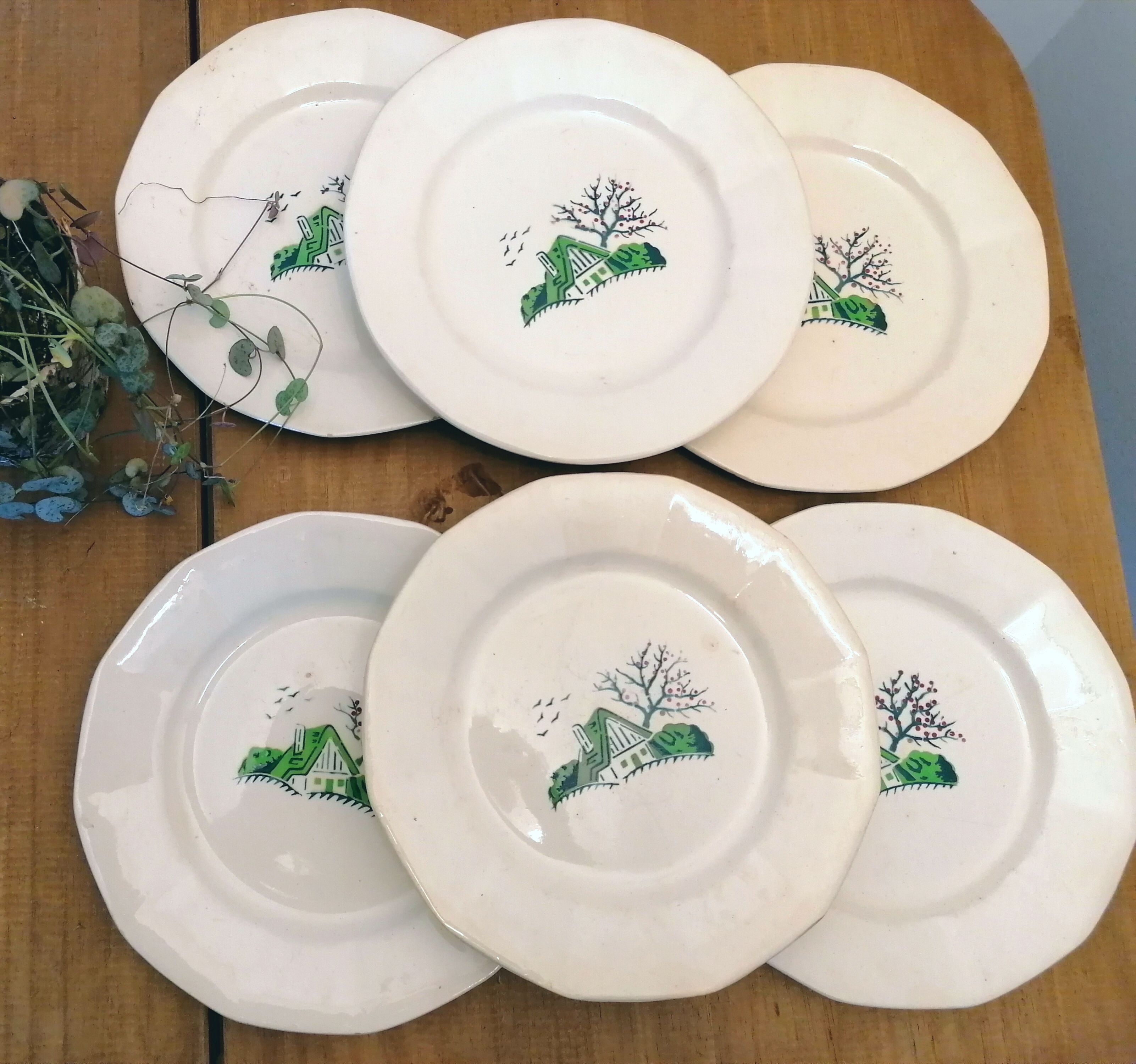 10 flat plates in Earthenware Digoin Bayeux Model, mountain chalet / naïve