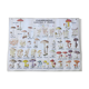 Large school poster MDI double-sided Edible and Poisonous Mushrooms 1979