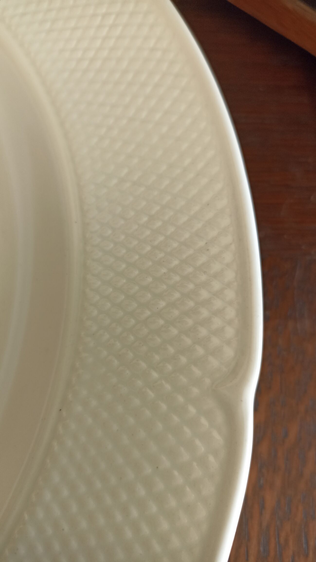 Salins Dish - Chinon Model