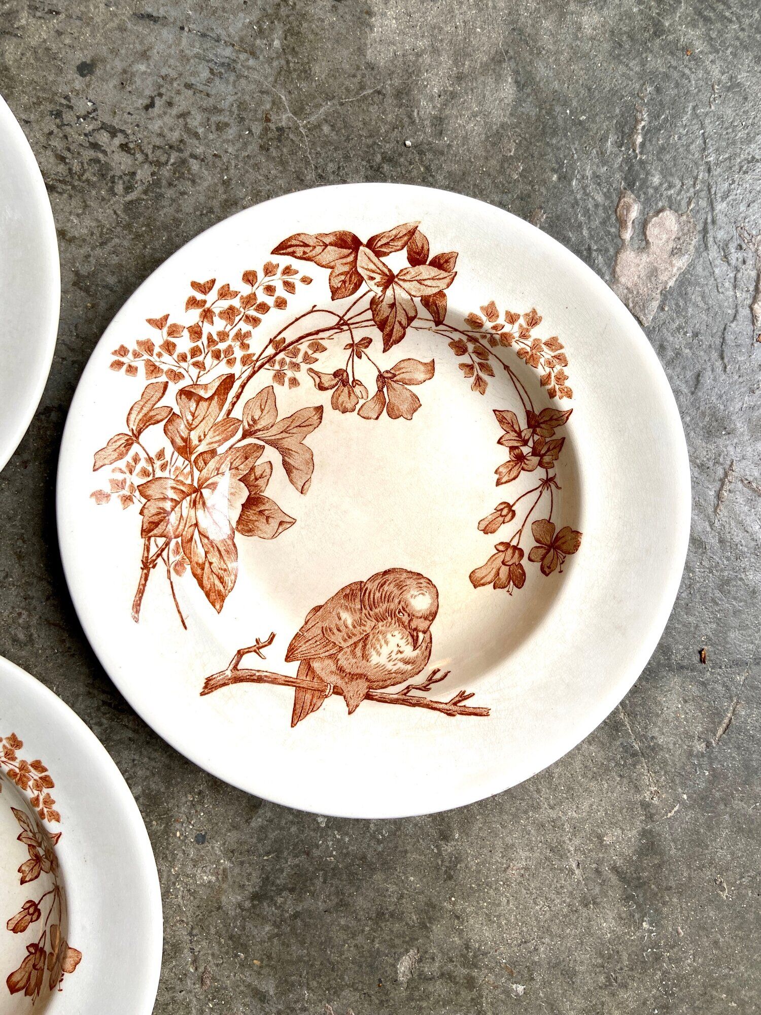 3 Longwy hollow plates in white and brown iron earth