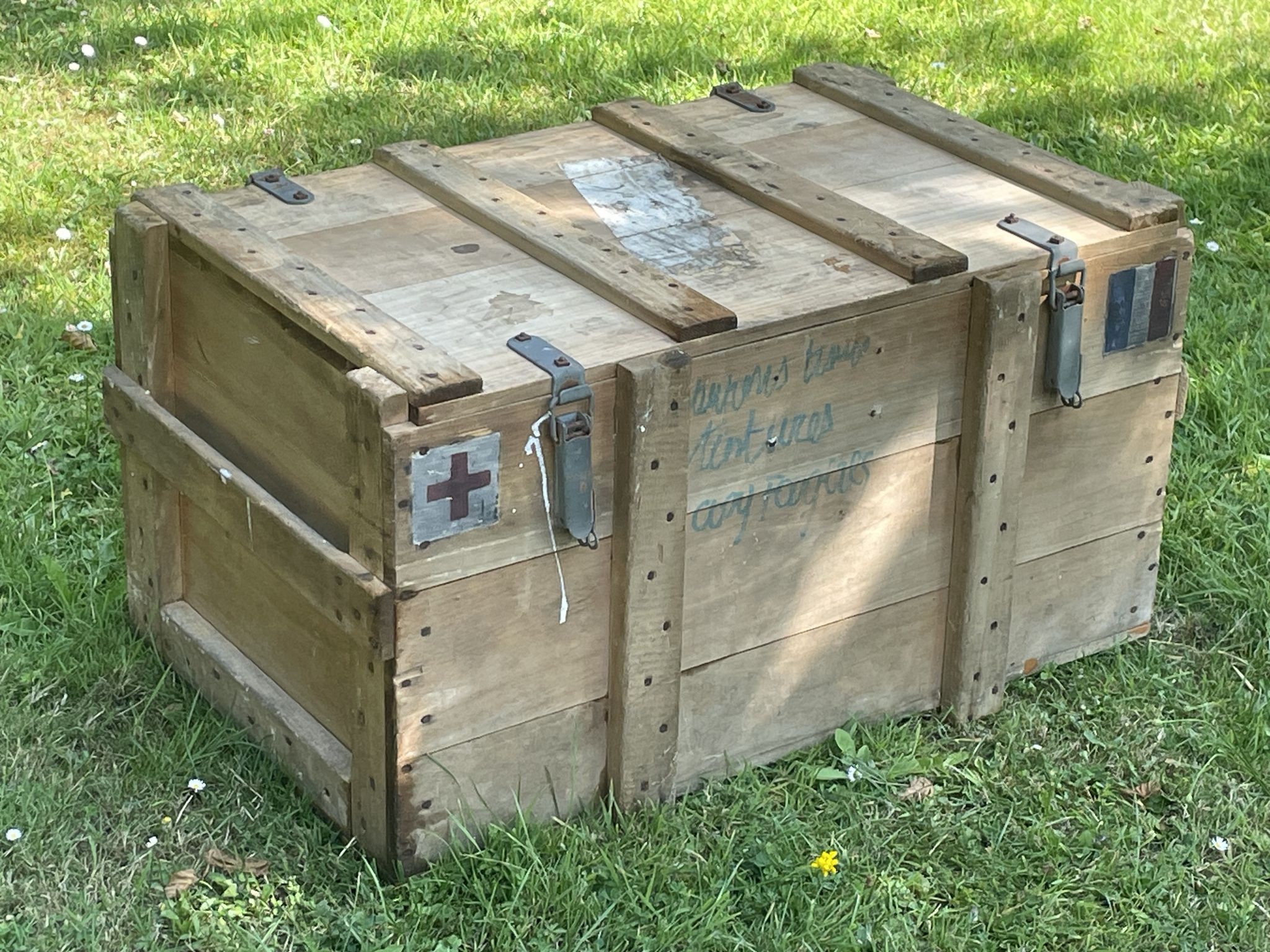 Trunk, natural wood box, very healthy