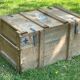 Trunk, natural wood box, very healthy