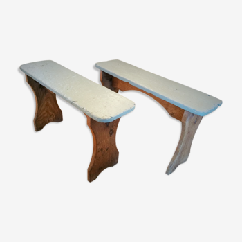 Pair of benches rustic early twentieth