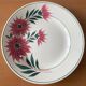 6 old flat plates in Choisy-le-Roi earthenware