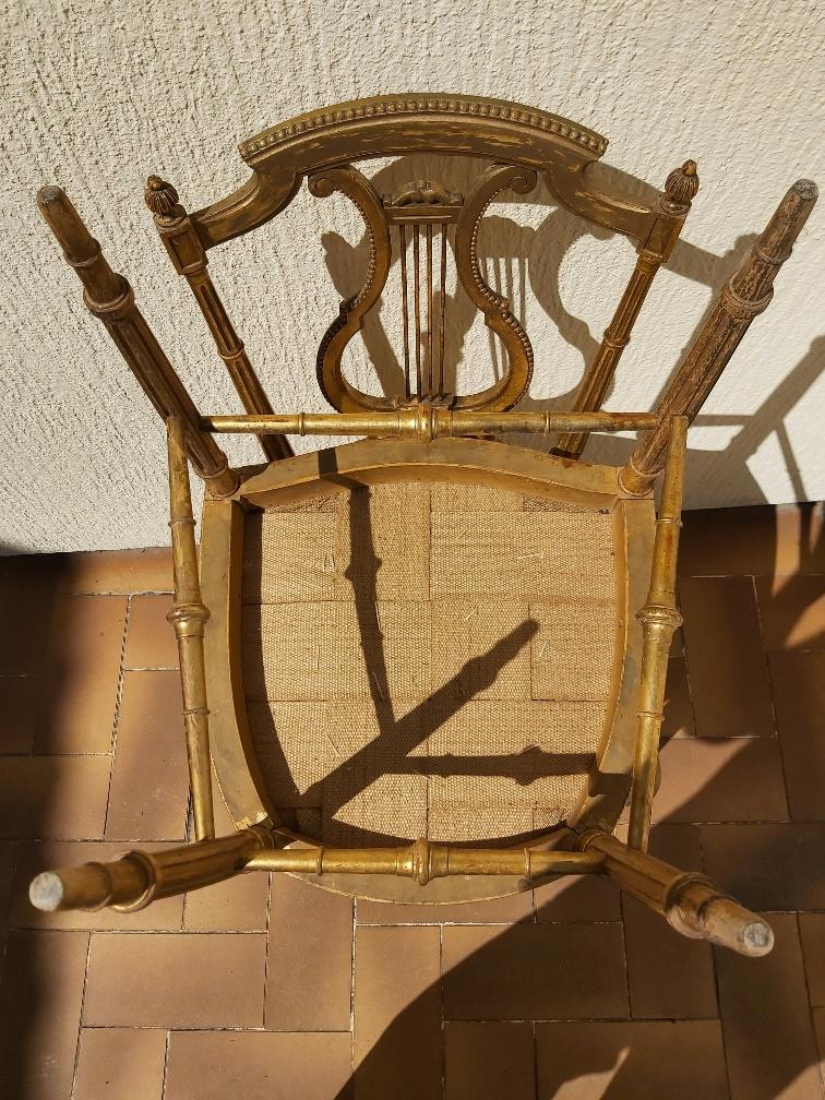 Pair of chairs with a golden lyre