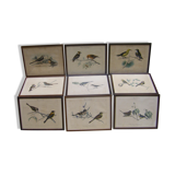 Collection of nine ornithological engravings