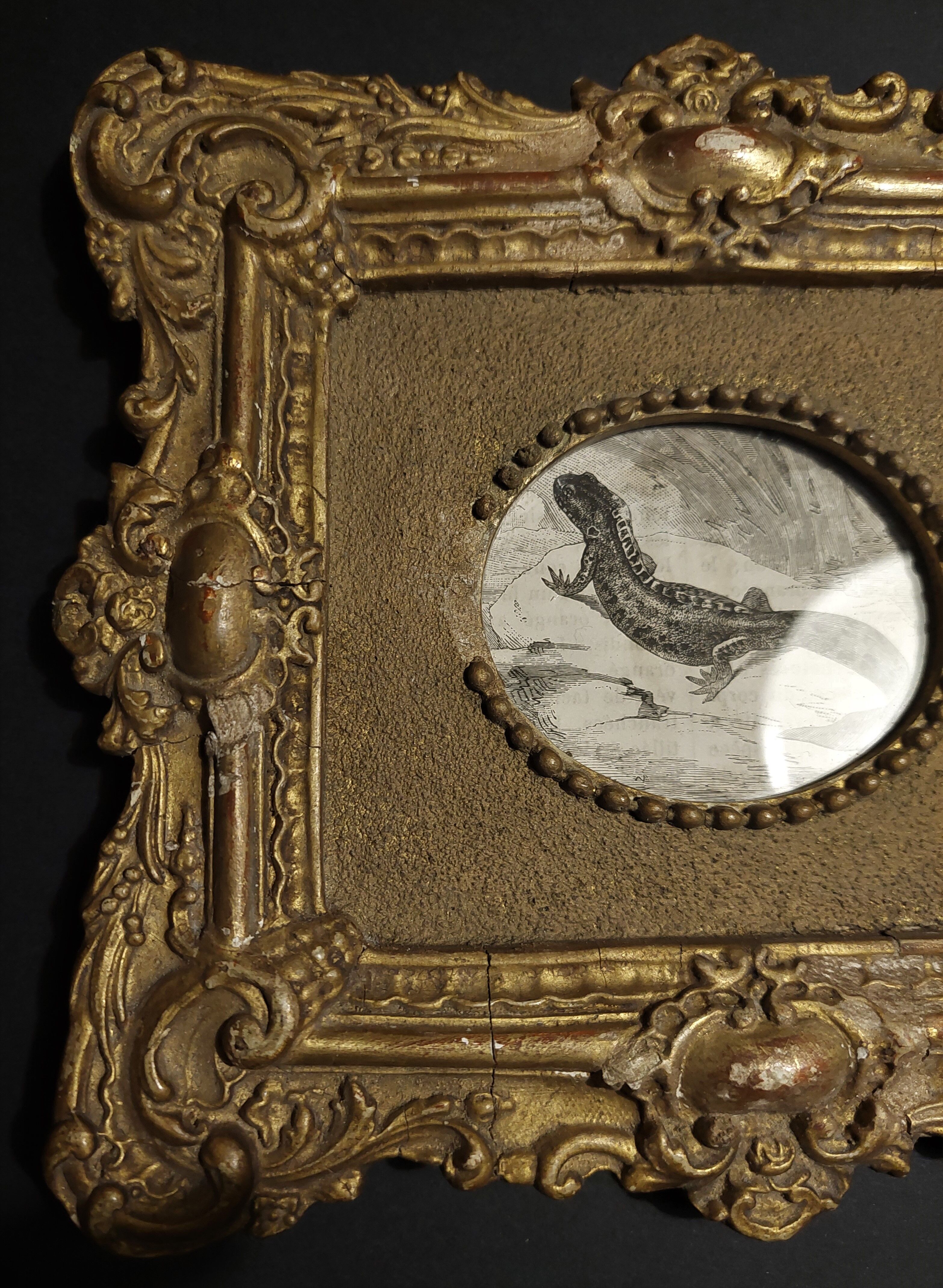 Animal engraving gilded stuccoed wood frame nineteenth century
