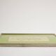Old glass and metal serving tray - hand-painted floral decoration