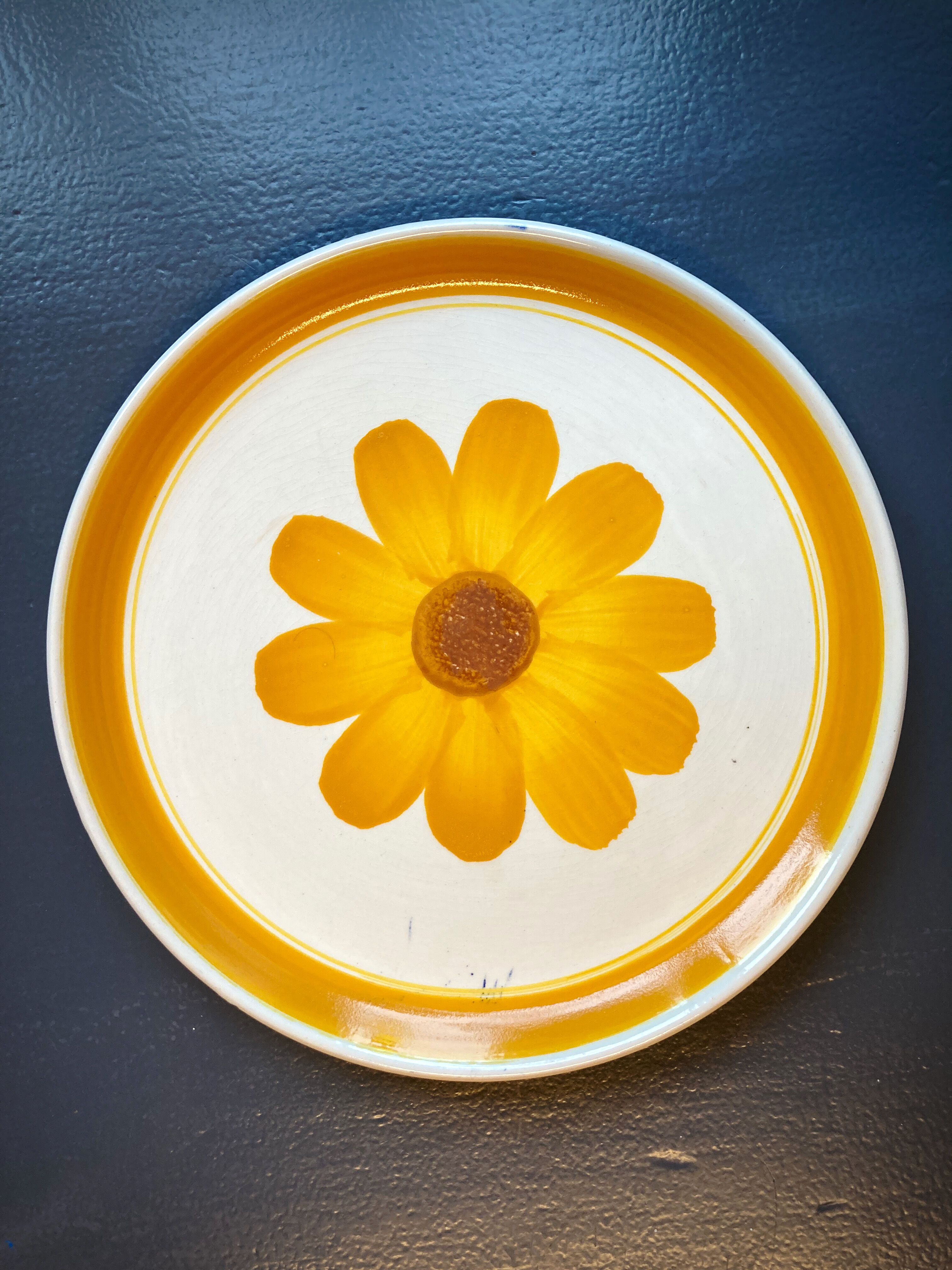 Seven vintage flower power plates
