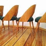 Chairs from Proj. A. Suman, Tatr Nabytok for Tatra, Czechoslovakia, 1960s, Set of 4