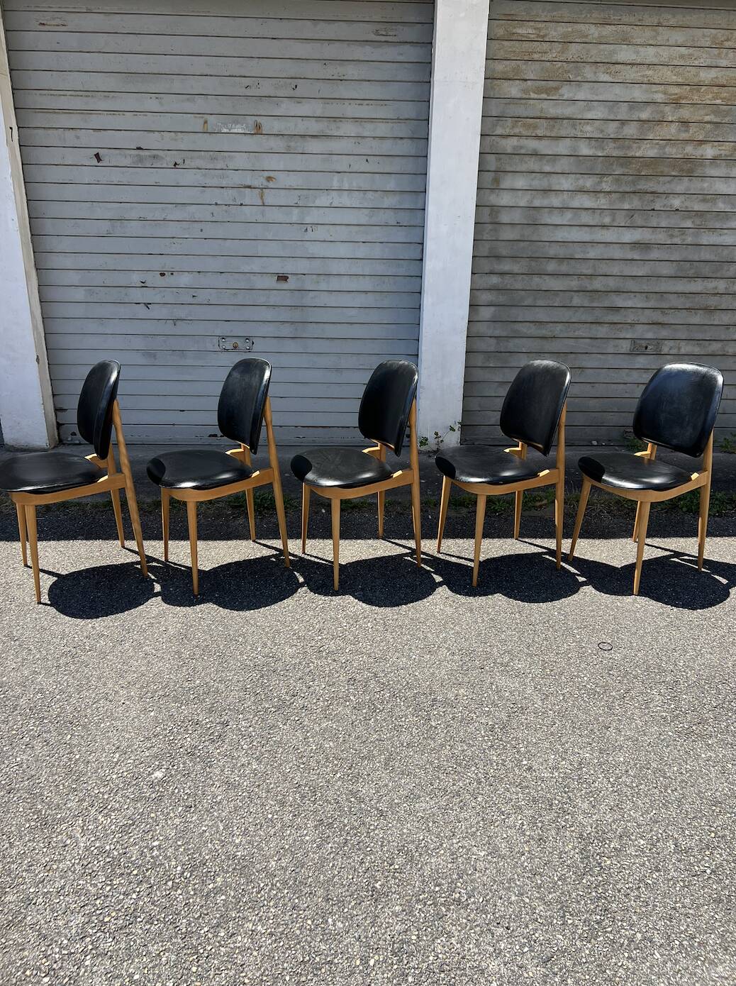 (Lot) 5 Chaises Pégase, Pierre Gurariche pour Baumann