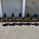(Lot) 5 Chaises Pégase, Pierre Gurariche pour Baumann
