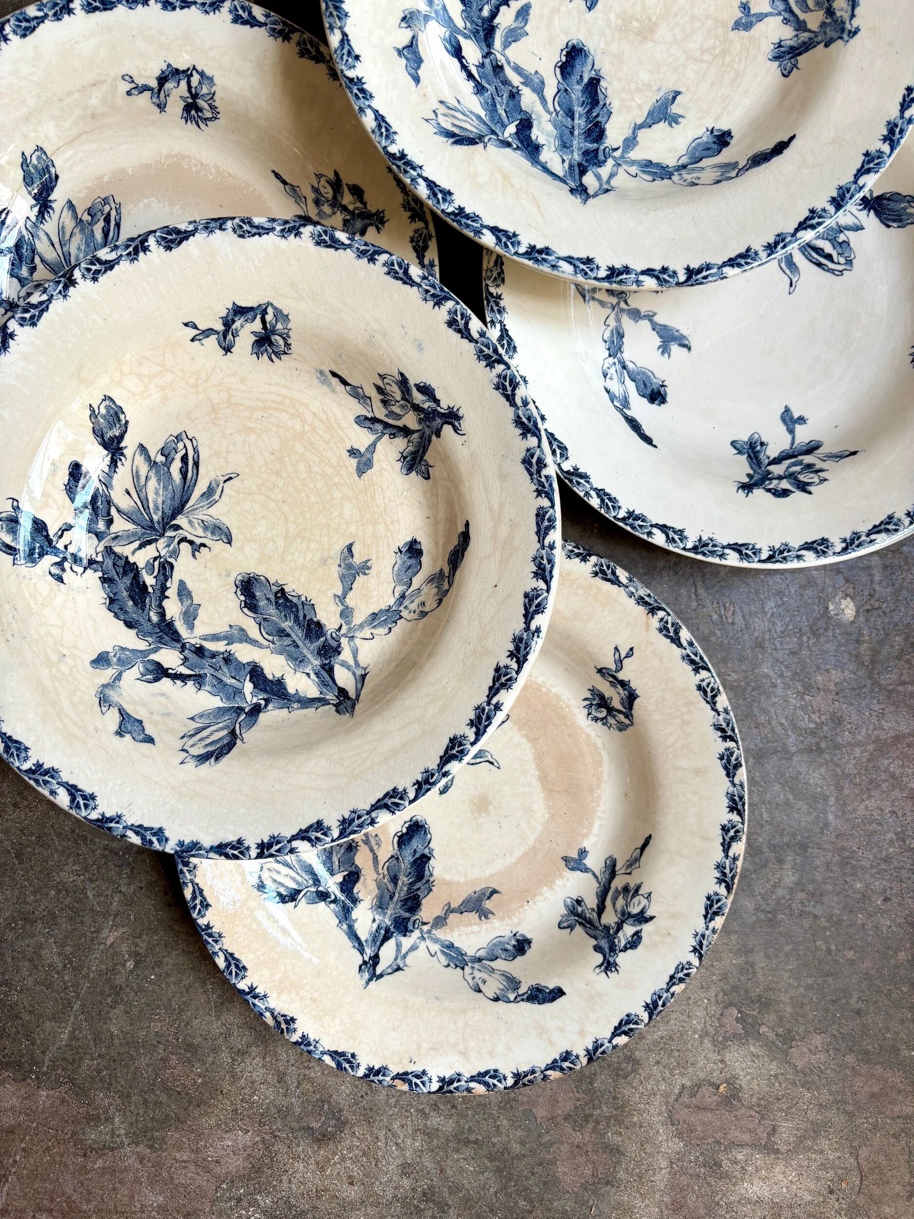 6 deep plates Gien in blue ironstone, "Cactus" service.