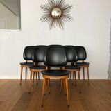 Set of 6 Pegasus chairs