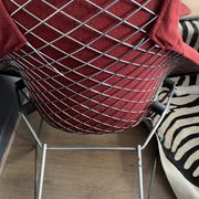 Fauteuil Bertoia Bird édition Knoll 1970