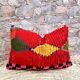 Vintage Moroccan berber boujaad pillow