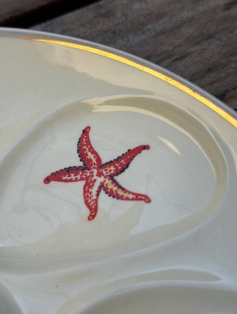 Lot de 4 assiettes à Huîtres Vintage crème Salins France