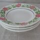 6 Plates wolf mill decoration flowers pink and green faience old