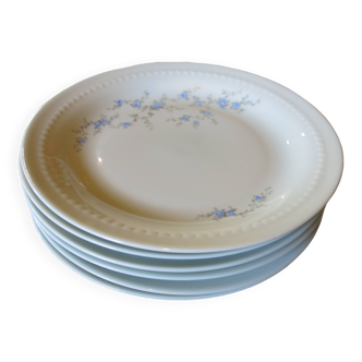 6 assiettes plates à fleurs bleues en très bon état