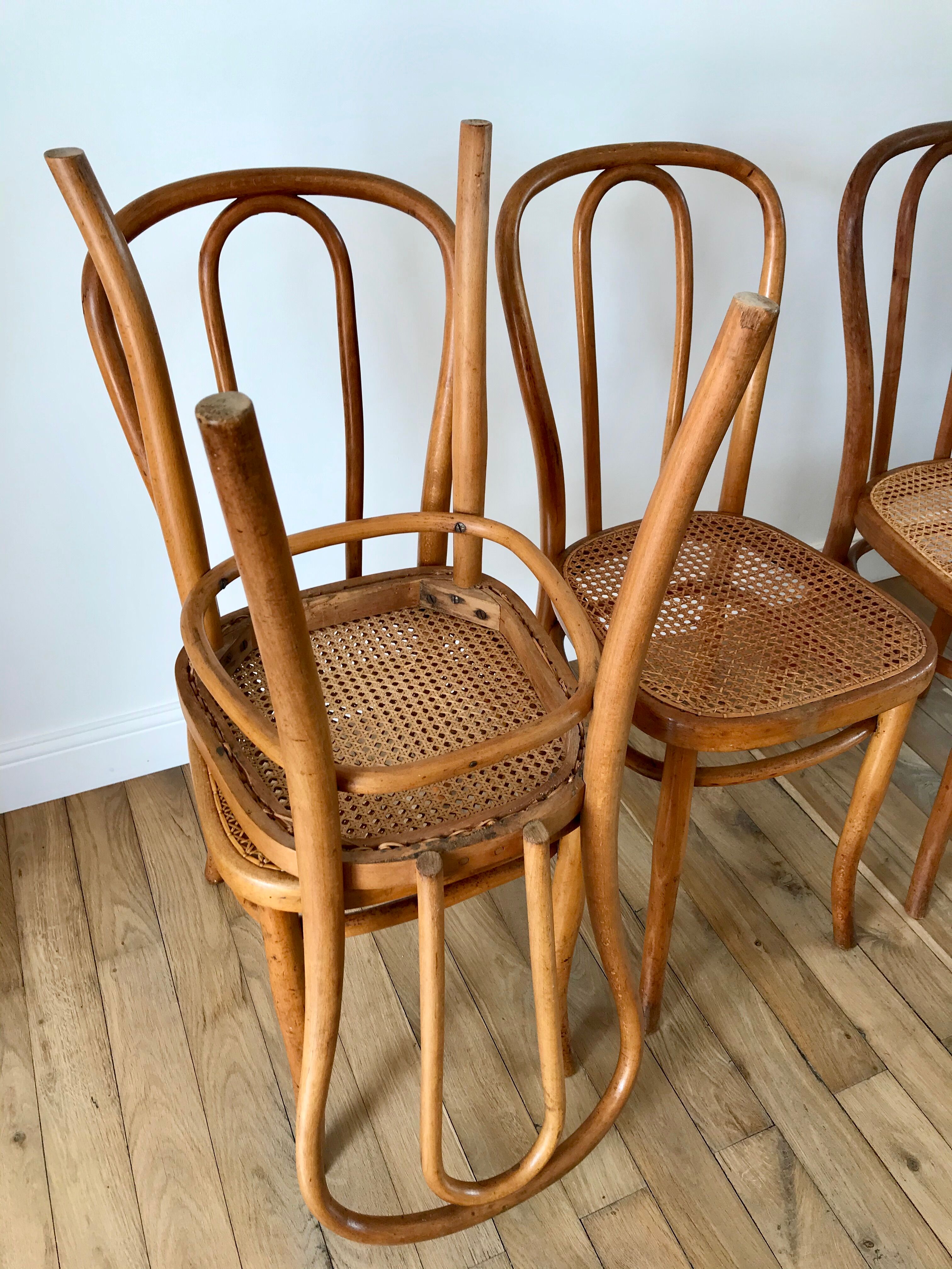 Set of 4 cane chairs in bentwood and honey-coloured cane thonet early 20th century