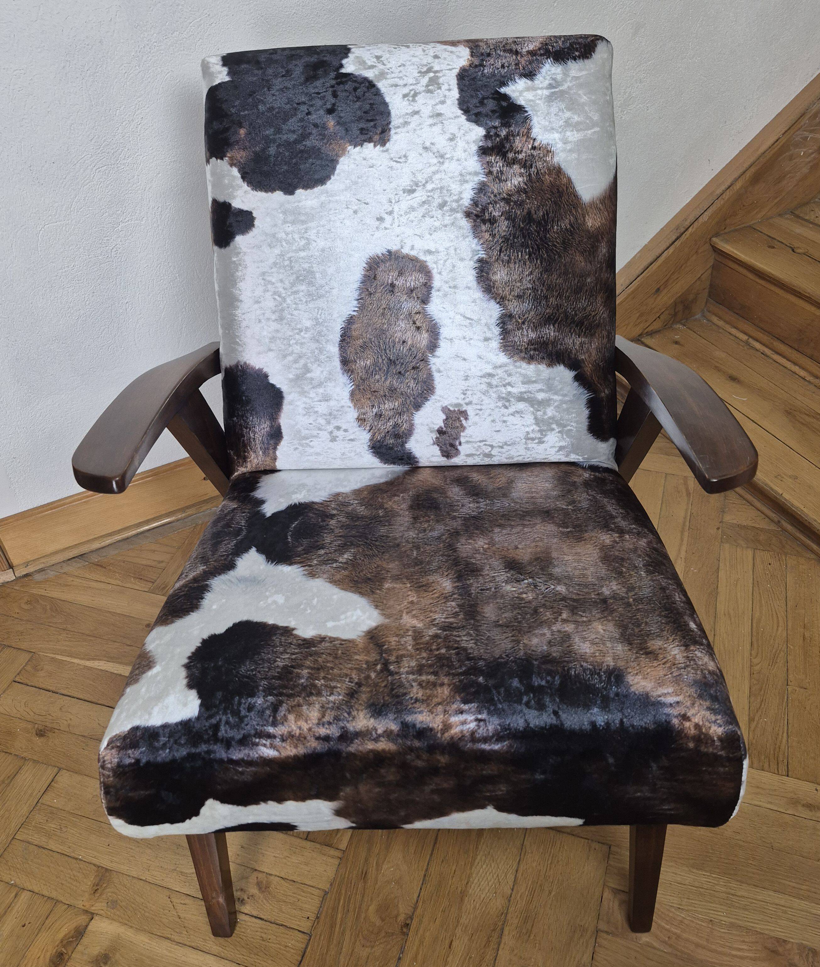Renovated armchair designed by Puchała, Poland, 1970s