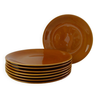 Set of 8 ocher enameled ceramic dinner plates