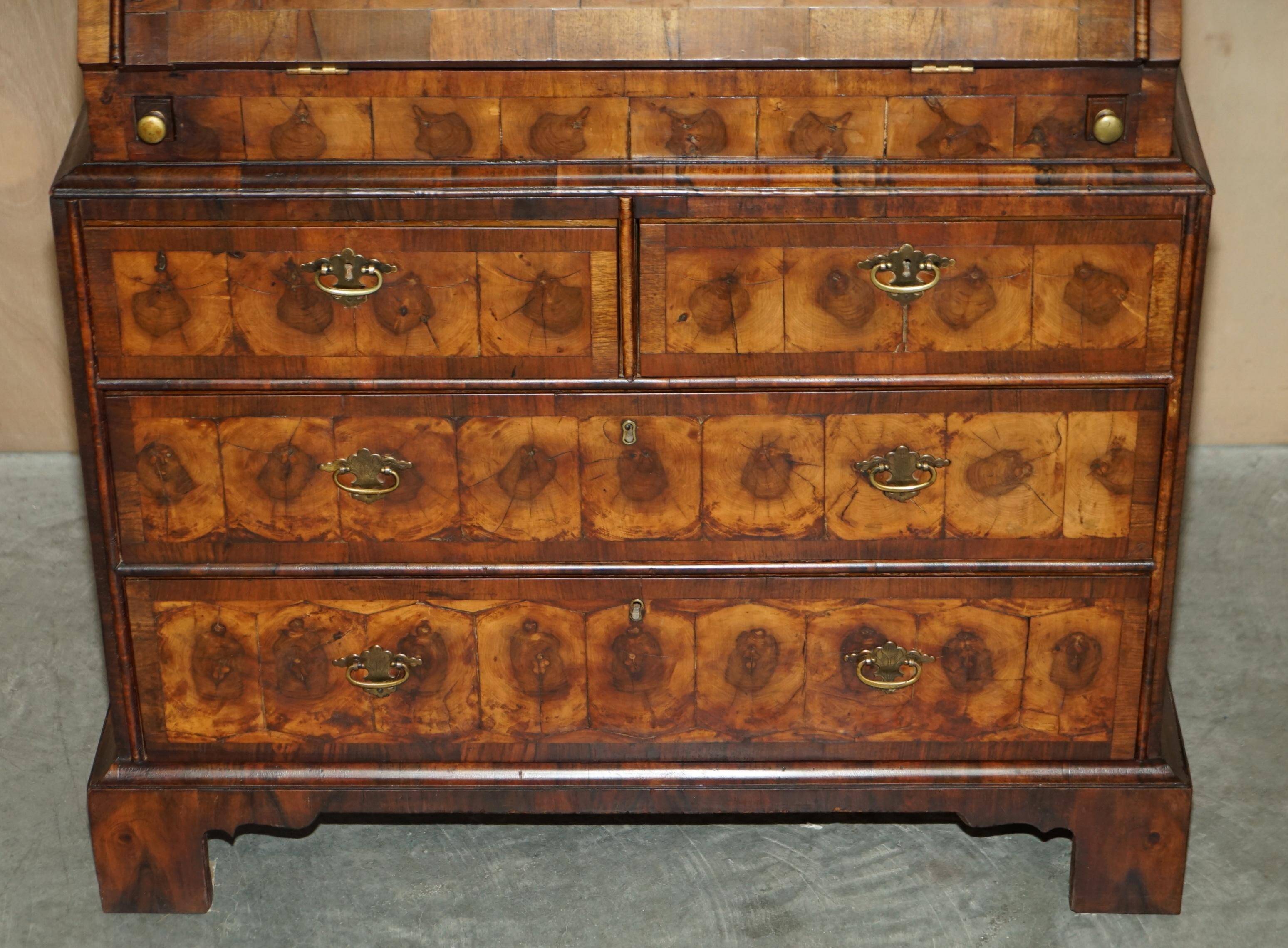 Antique Georgian Display Cabinet in Oyster Veneer circa 1780