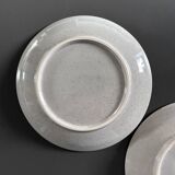 Pair of plates with rooster decor