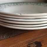 6 soup plates