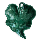 Empty green leaf pocket