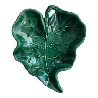 Empty green leaf pocket