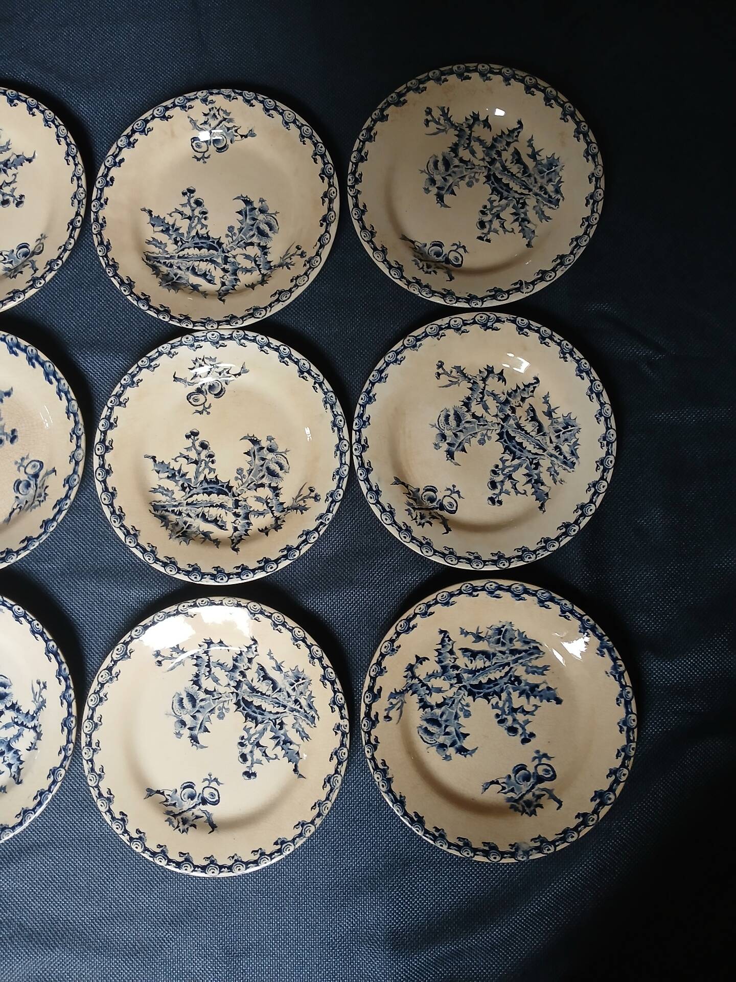 14 dinner plates + 2 "Chardons" dishes from Gien
