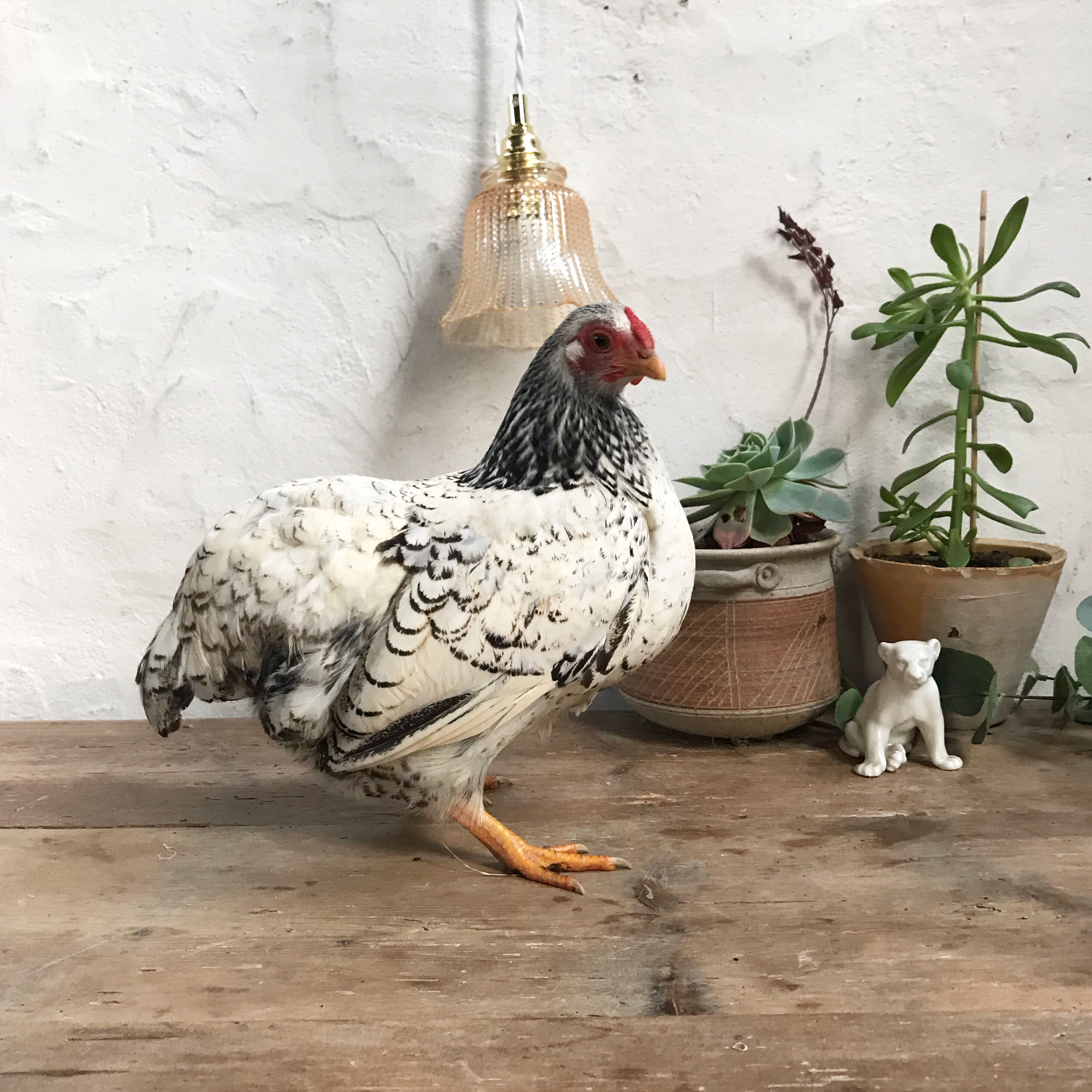 Vintage tulip walking lamp