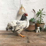 Vintage tulip walking lamp