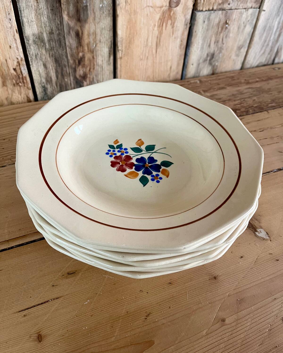 7 Saint Amand iron earth soup plates