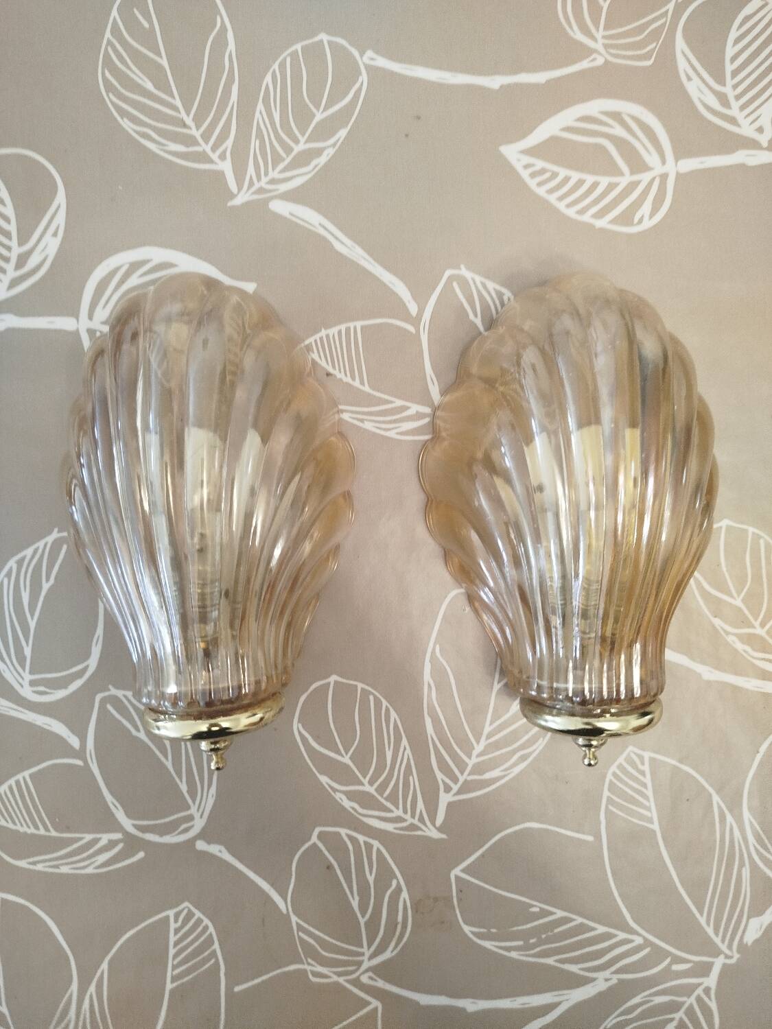 Pair of shell wall sconces – striped Italian glass – 1970