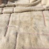 Tapis Mrirt d'exception 320 x 230 cm