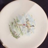 9 plates primefleur gien