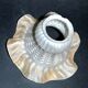 Lamp glass ART DECO - tulip cup in frosted glass molded basketry