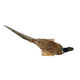 Mounted ringneck pheasant on wooden plank taxidermy