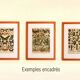 Antique engraving 1897 - Mammals 4, animals, zoology