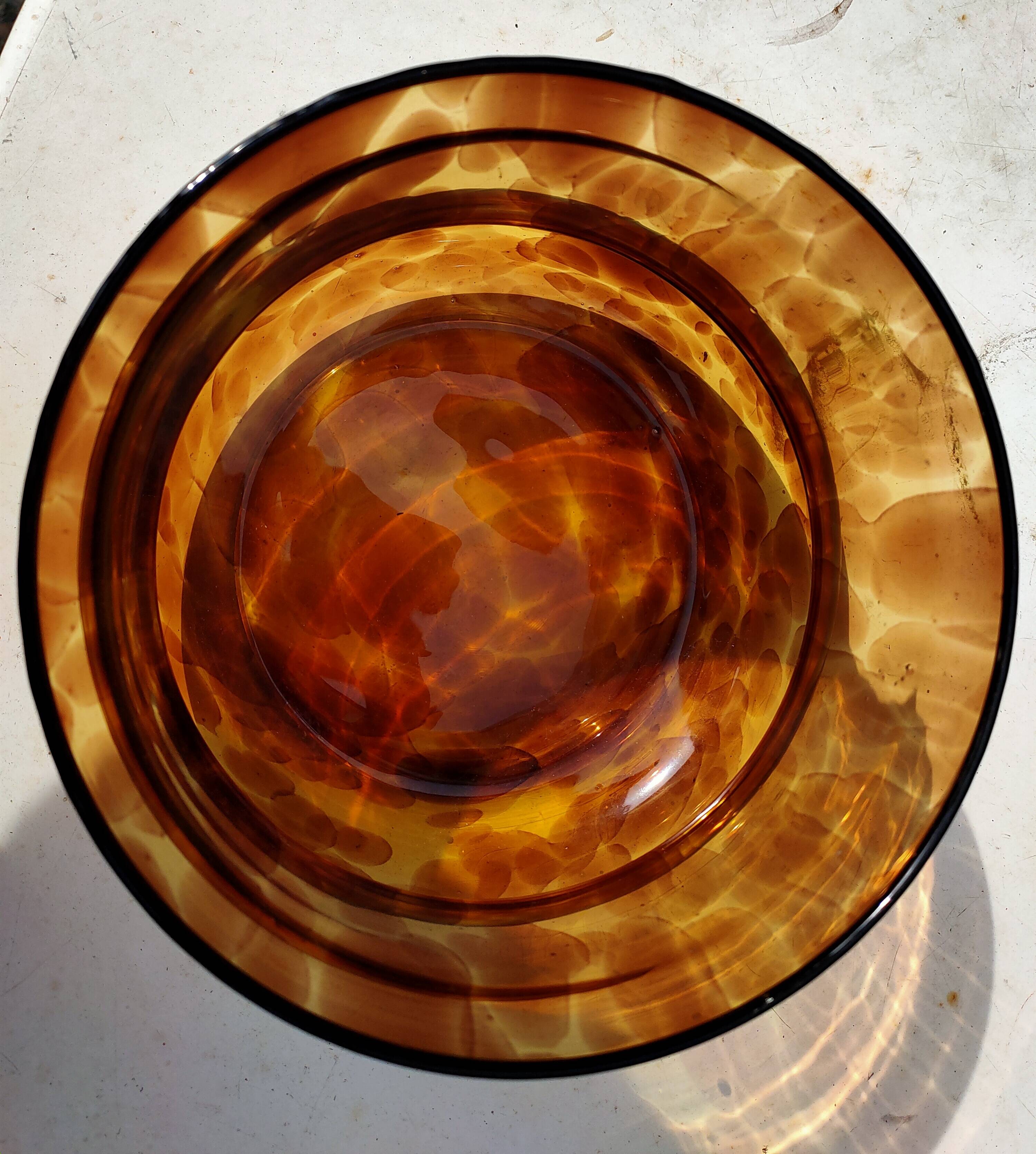 Glass dish tortoiseshells
