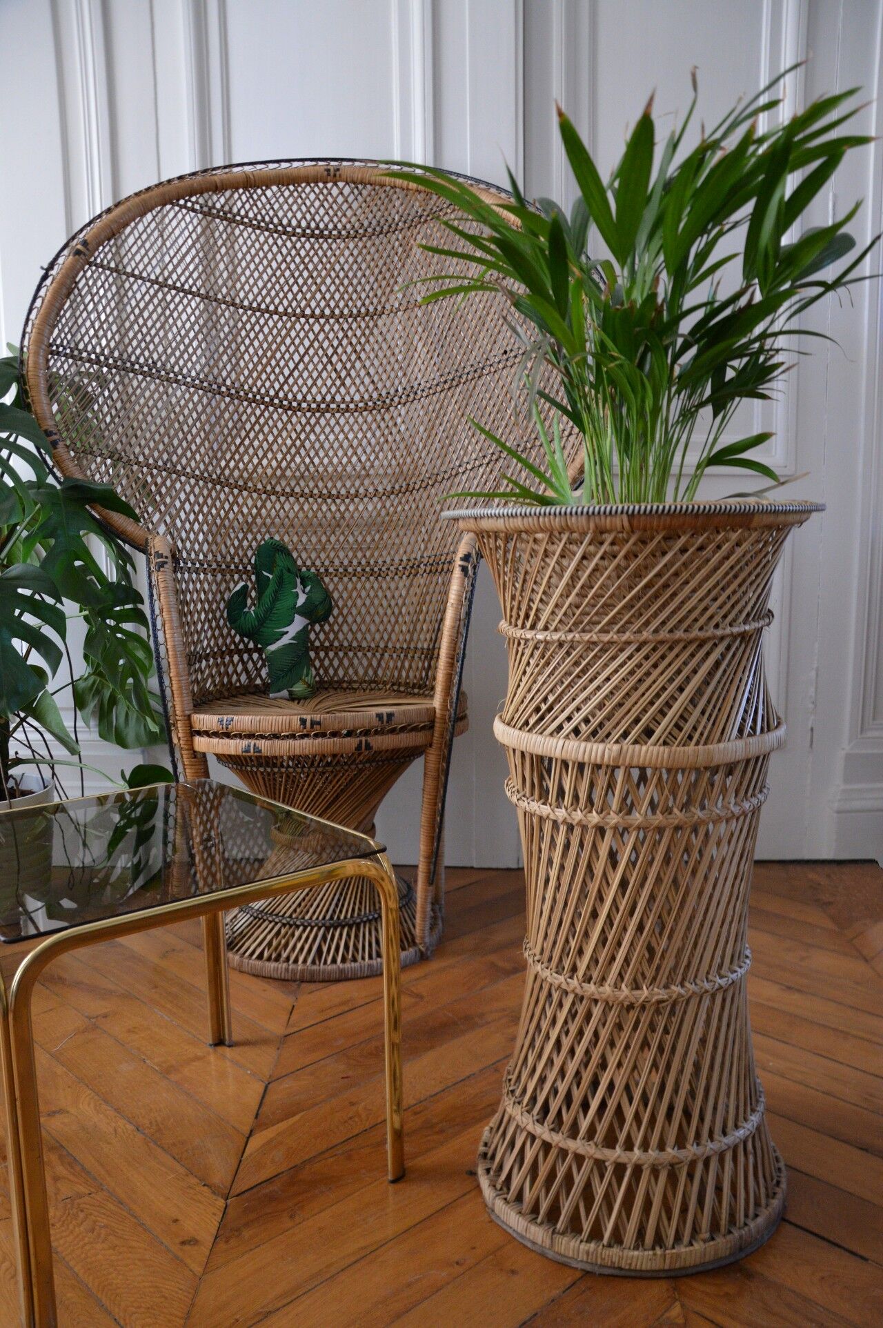 Door plant rattan peacock