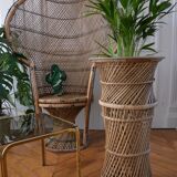 Door plant rattan peacock