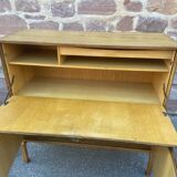 Scandinavian secretary